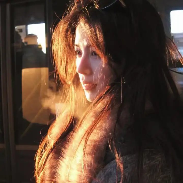 妙警贼探第二季